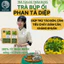 Trà Búp ổi phan tả diệp túi lọc- DIỆP CHI- detox, nhuậntràng, táobón, giảmcân, tiêuchảy- TÚI 30 lọc