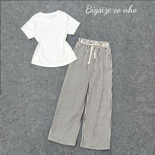 Set đồ big size nữ áo thun trơn co giãn phối quần xuông kẻ sọc hottrend lưng chun thoải mái mặc thoáng mát - SET972