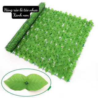 Hàng rào lá táo kt 1m*3m,trang trí tường vườn xanh đẹp