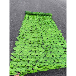 Hàng rào lá táo kt 1m*3m,trang trí tường vườn xanh đẹp