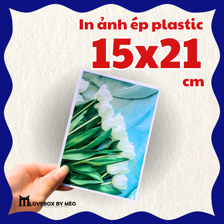 Ảnh in 15x21cm (A5) ép plastic chất lượng cao, hình in từ điện thoại sắc nét, lấy ngay - LoveBox by Mèo