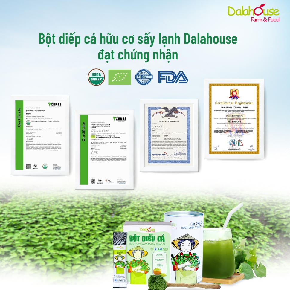 Ảnh Bột rau diếp cá hữu cơ nguyên chất Dalahouse 60gr công nghệ sấy lạnh đạt tiêu chuẩn Châu Âu 1