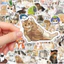 Set 100 Sticker Mèo Thực Tế - Đề Can Vinyl Chống Nước Dán Laptop Vali Mũ Bảo Hiểm Sổ Tay