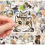 Set 100 Sticker Mèo Thực Tế - Đề Can Vinyl Chống Nước Dán Laptop Vali Mũ Bảo Hiểm Sổ Tay