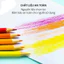 HỘP 24 BÚT CHÌ MÀU GỖ CHO BÉ THỎA SỨC SÁNG TẠO