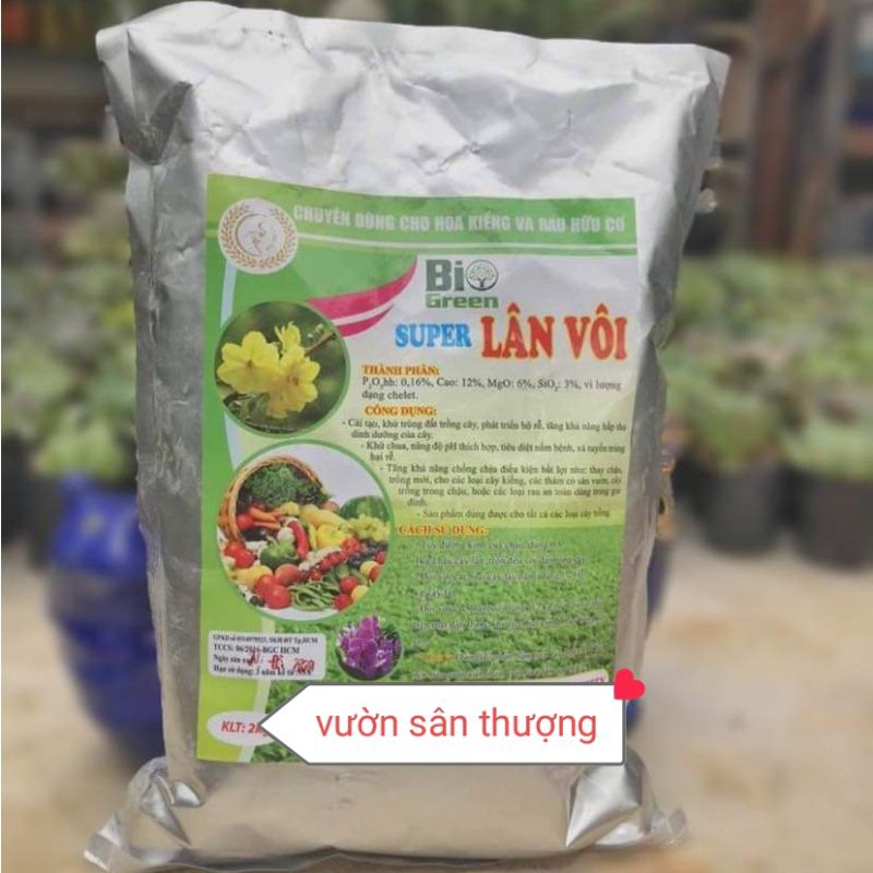 Super Lân Vôi 2kg Bi Green, Tinh Vôi Khử Trù.ng, Xử Lý Đất, Tiêu D.iệt Nấm Bệ.nh Tu.yến Tr.ùng