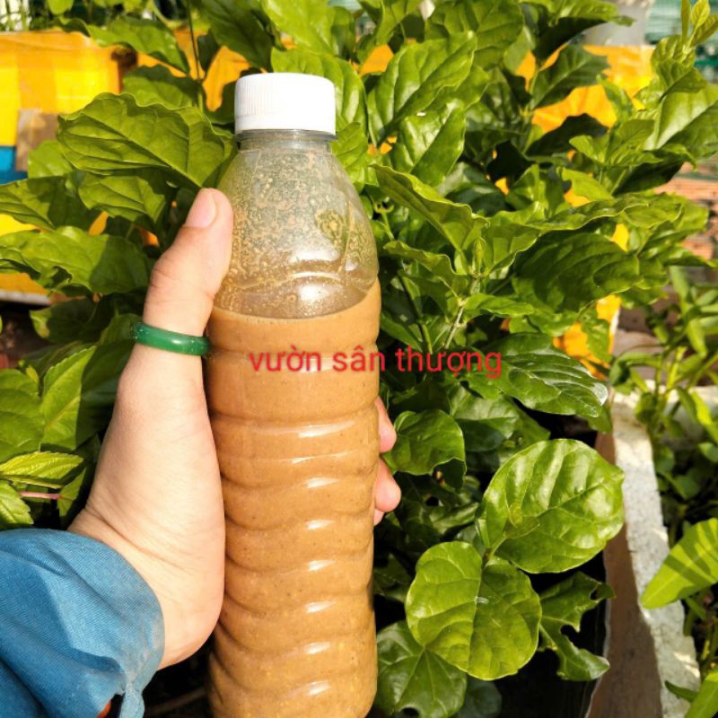 Phân Đỗ Tương (Đậu Nành) Đã Ủ Chai Gần 350ml, Có mùi nha Lên Men Cây Có Thể Hấp Thụ Nhanh, Đạm Cao Trong Các Phân Hữu Cơ
