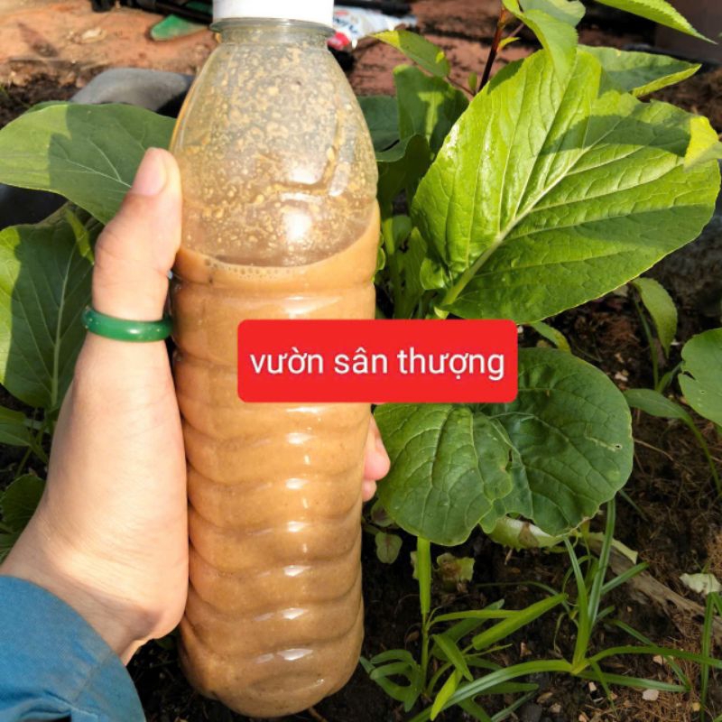 Phân Đỗ Tương (Đậu Nành) Đã Ủ Chai Gần 350ml, Có mùi nha Lên Men Cây Có Thể Hấp Thụ Nhanh, Đạm Cao Trong Các Phân Hữu Cơ