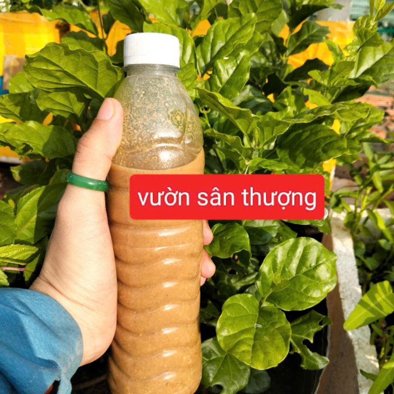 Phân Đỗ Tương (Đậu Nành) Đã Ủ Chai Gần 350ml, Có mùi nha Lên Men Cây Có Thể Hấp Thụ Nhanh, Đạm Cao Trong Các Phân Hữu Cơ
