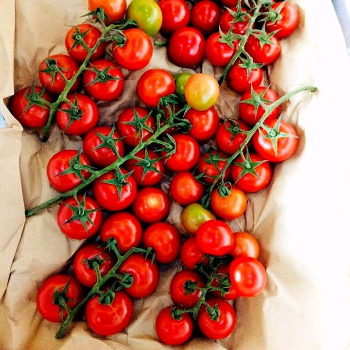 Hạt giống Cà Chua Cherry Chùm Đỏ Lai (0,15g~50 hạt) Sinh Trưởng Vô Hạn, Trồng Quanh Năm - Hạt giống CANH NÔNG