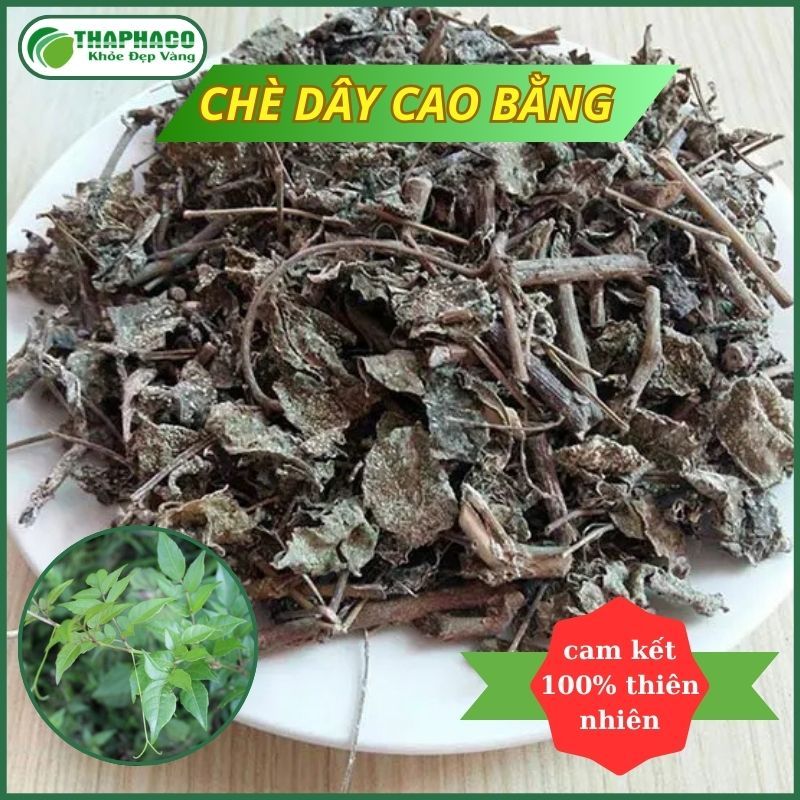 Chè Dây Cao Bằng Túi 1kg Lá Và Tuyết Nhiều Hỗ Trợ Dạ Dày Thaphaco