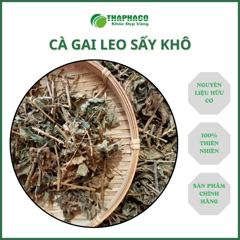 Cây cà gai leo sấy khô giúp giảm viêm gan và làm mát gan cực kỳ hiệu quả