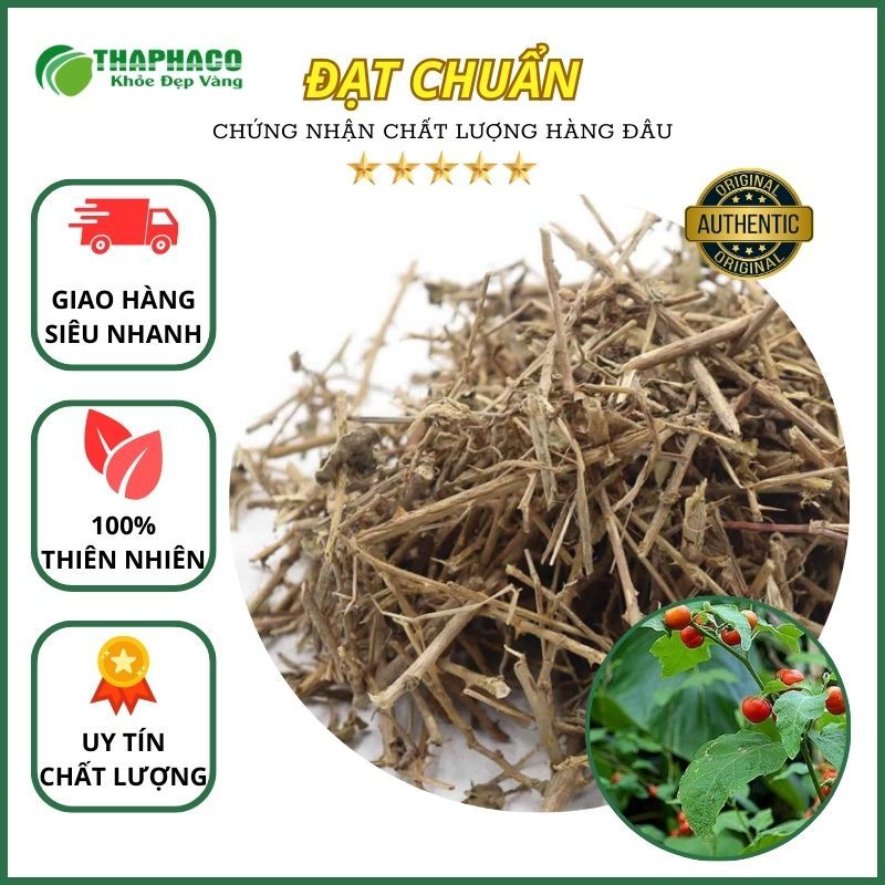 Cây cà gai leo sấy khô giúp giảm viêm gan và làm mát gan cực kỳ hiệu quả