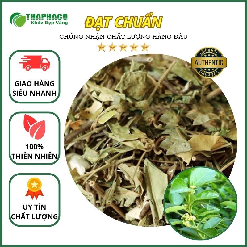 [Dược Liệu] Dây Thìa Canh Khô Nguyên Chất - Hàng Loại 1 -  Tốt cho người tiểu đường