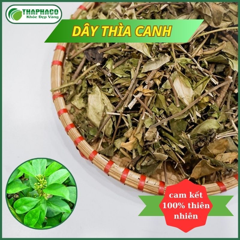 [Dược Liệu] Dây Thìa Canh Khô Nguyên Chất - Hàng Loại 1 -  Tốt cho người tiểu đường