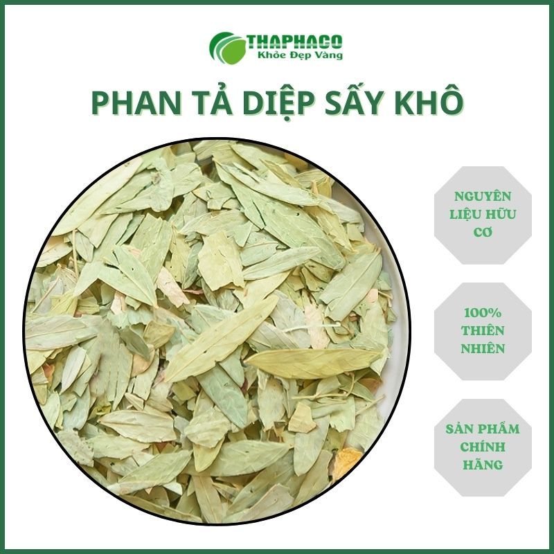 1kg trà phan tả diệp sấy khô - hàng thơm sạch giá tốt - hỗ trợ cải thiện tình trạng táo bón