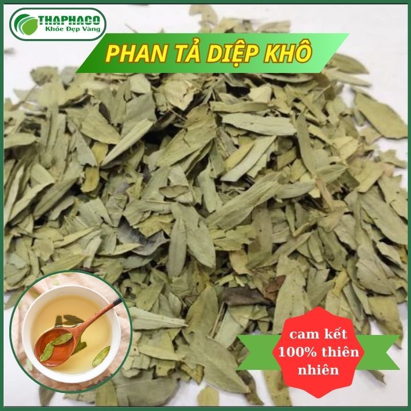 1kg trà phan tả diệp sấy khô - hàng thơm sạch giá tốt - hỗ trợ cải thiện tình trạng táo bón
