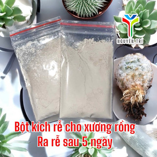Bột kích rễ dành sen đá và xương rồng. Chỉ dành cho sen đá và họ xương rồng.