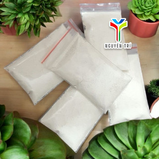 Bột kích rễ dành sen đá và xương rồng. Chỉ dành cho sen đá và họ xương rồng.