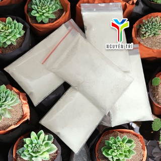 Bột kích rễ dành sen đá và xương rồng. Chỉ dành cho sen đá và họ xương rồng.