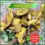 Hoàng Đằng Nguyên Chất Sấy Khô túi 1kg Thaphaco