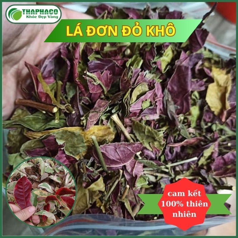 [Thảo Dược] Đơn Lá Đỏ Sấy Khô Nguyên Chất - Hàng Loại 1 -  túi 1kg