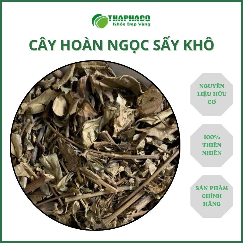 Hoàn ngọc sấy khô - thân và lá cây - thảo dược 100% thiên nhiên - tốt cho sức khỏe