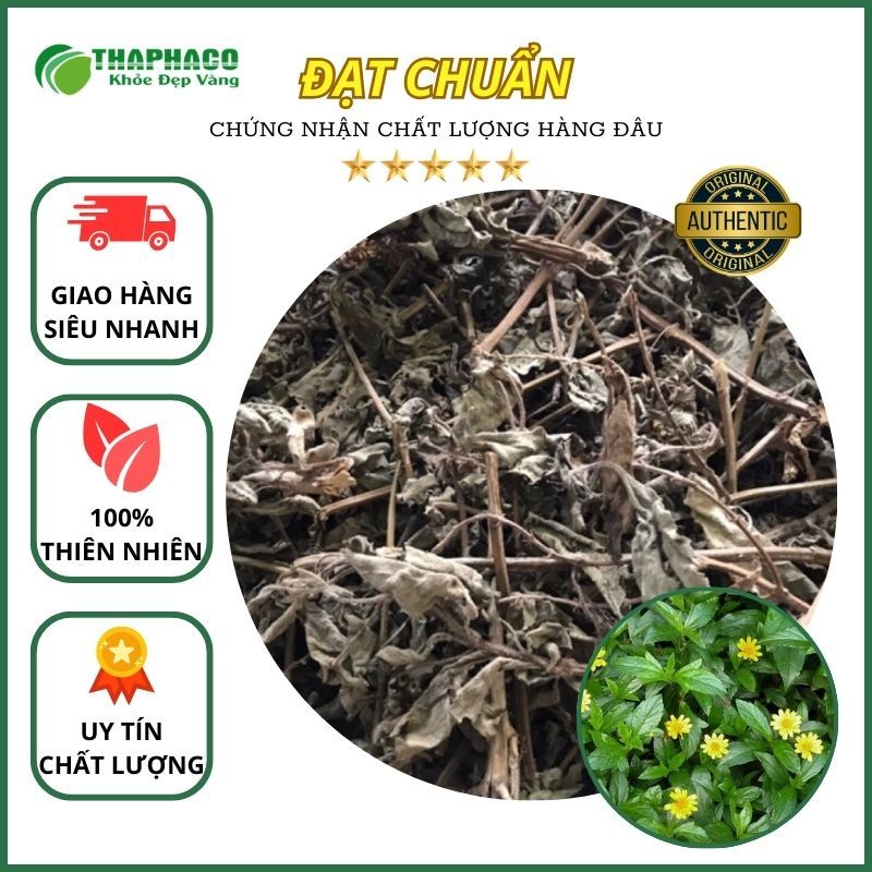 [Thảo Dược] Hương Nhu Sấy Khô Thaphaco