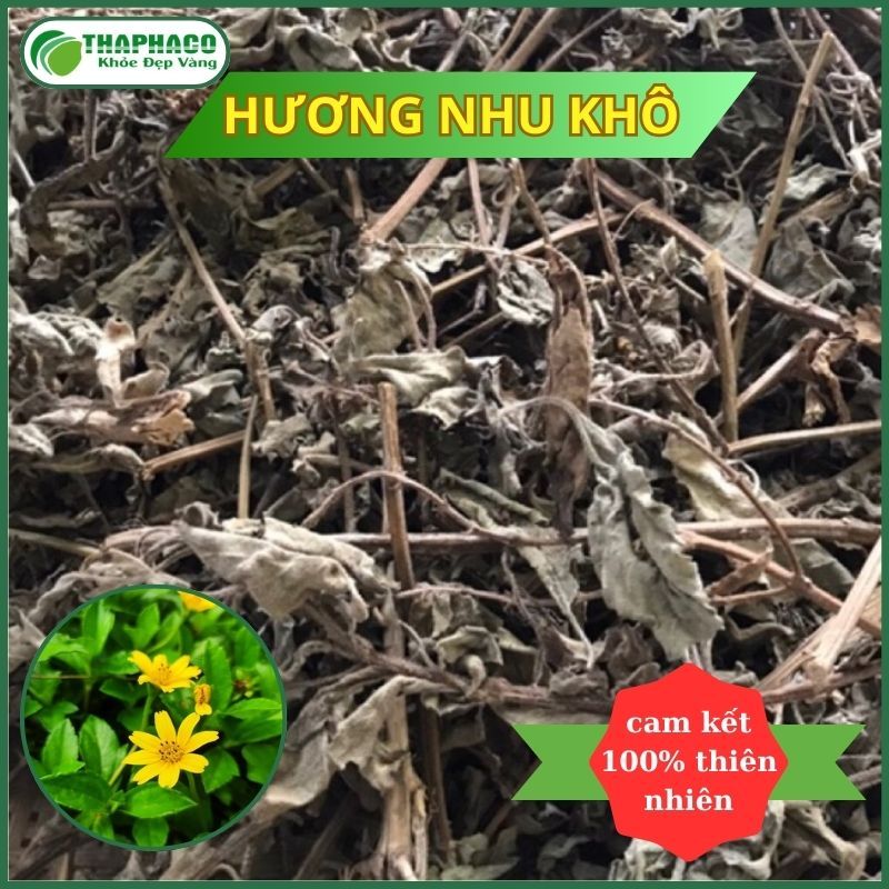 [Thảo Dược] Hương Nhu Sấy Khô Thaphaco