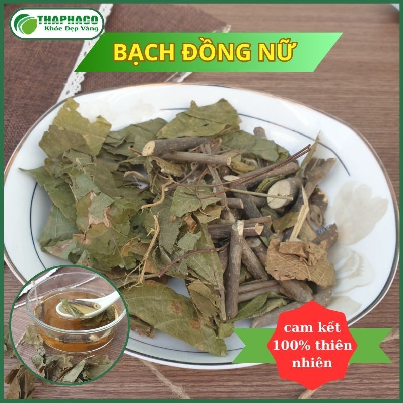 [Thảo Dược] Bạch Đồng Nữ Khô Nguyên Chất - Hàng Loại 1 - THAPHACO