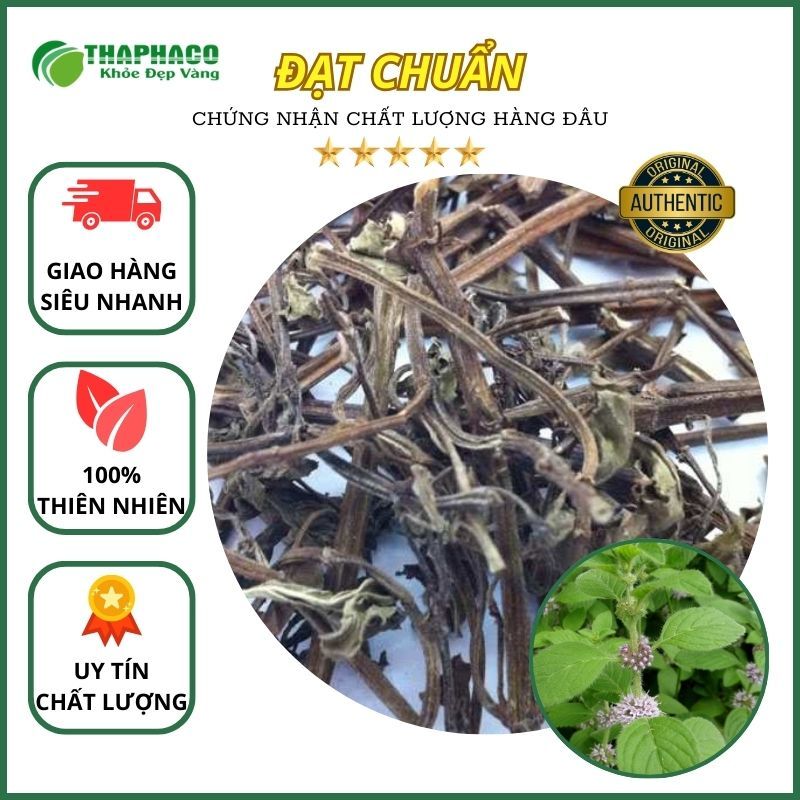 [Thảo Dược] Bạc Hà Khô ( gồm thân bạc hà và lá cây bạc hà ) Thaphaco