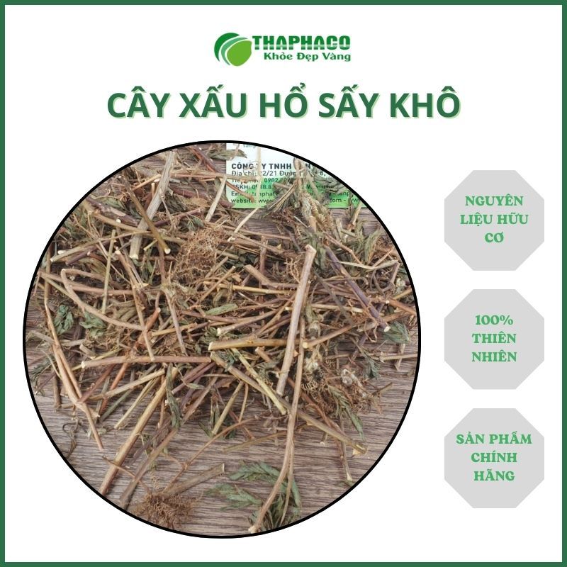 [Thảo Dược] Xấu Hổ Sấy Khô Nguyên Chất - Hàng Loại 1 - Đóng Gói Túi 1kg