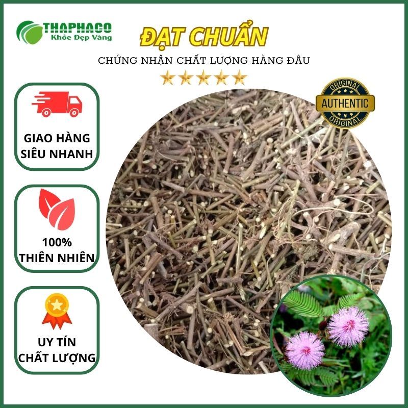 [Thảo Dược] Xấu Hổ Sấy Khô Nguyên Chất - Hàng Loại 1 - Đóng Gói Túi 1kg