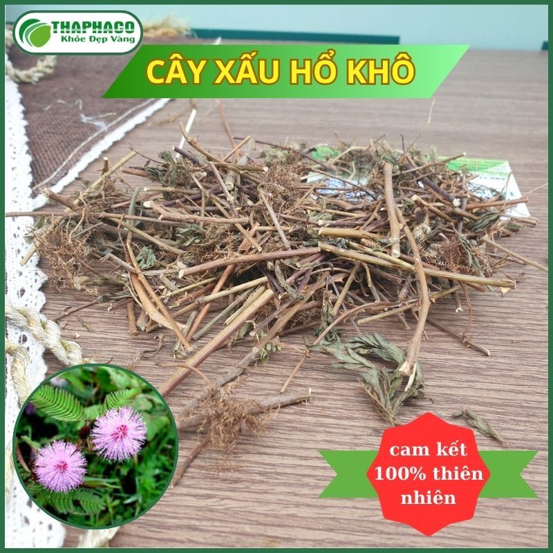 [Thảo Dược] Xấu Hổ Sấy Khô Nguyên Chất - Hàng Loại 1 - Đóng Gói Túi 1kg