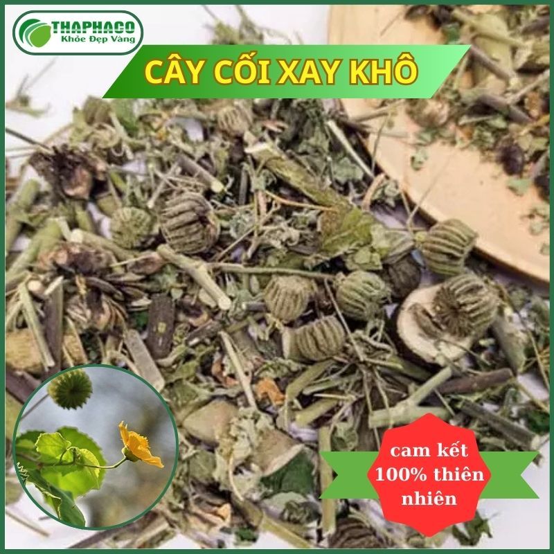[Thảo Mộc] Cây Cối Xay Sấy Khô - Hàng Loại 1 -  - Thaphaco