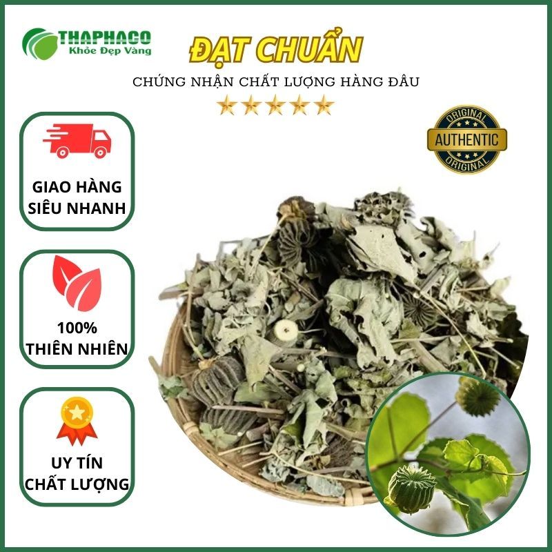 [Thảo Mộc] Cây Cối Xay Sấy Khô - Hàng Loại 1 -  - Thaphaco