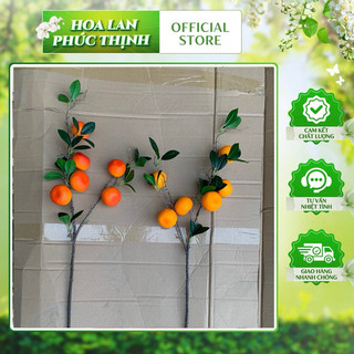 cành quýt 6 quả 80cm thân mùn, quả quýt giả trang trí cao cấp