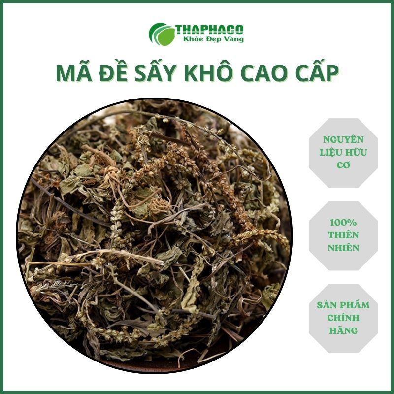 1kg trà mã đề sấy khô - trà ngon giúp thanh nhiệt và giải độc cực kỳ hiệu quả