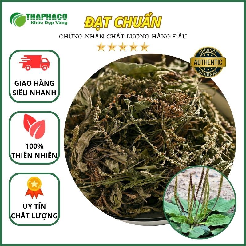 Mã đề sấy khô - Hàng sạch thơm giá tốt - túi lớn loại 1kg