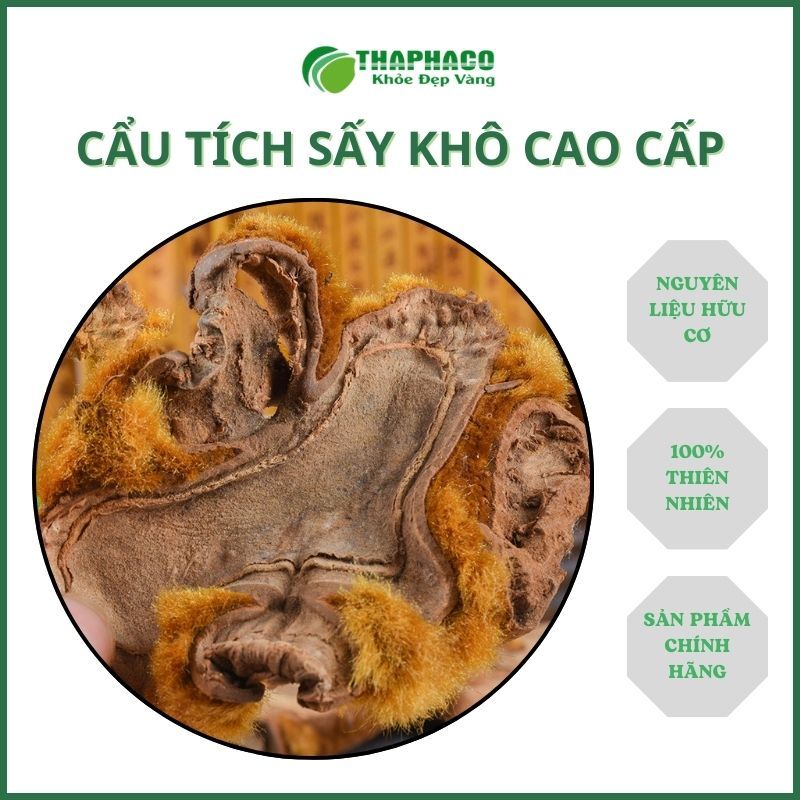 [Dược Liệu Thiên Nhiên] Cẩu Tích Khô Nguyên Chất - Hàng Loại 1 - túi 500gram