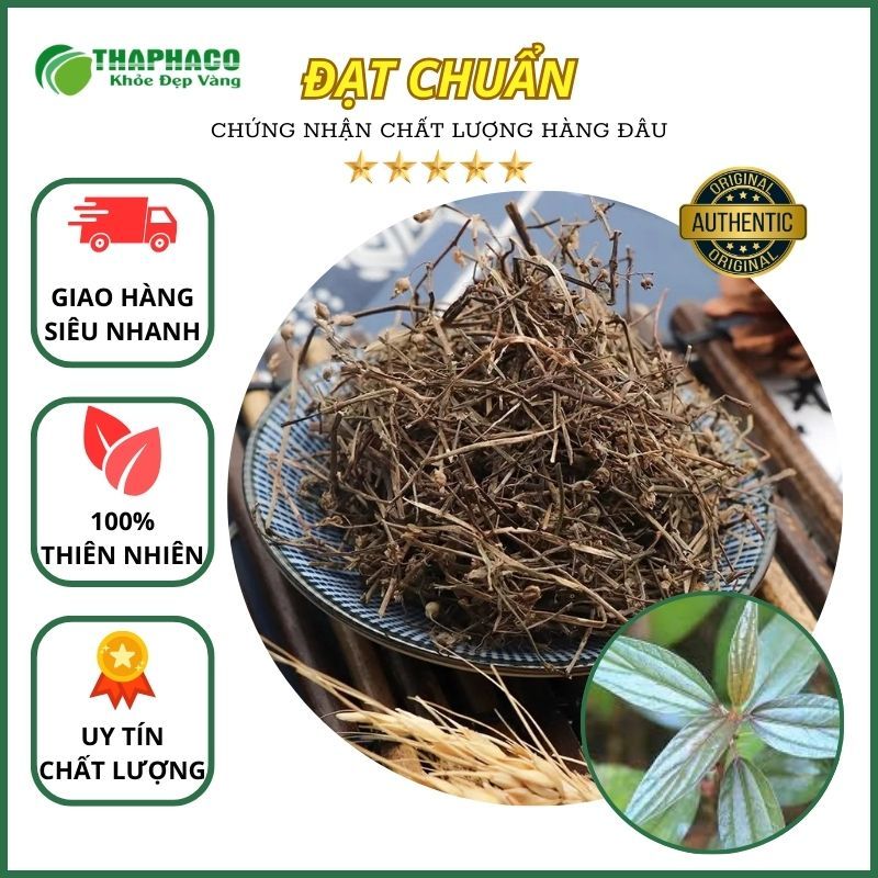 Cây Bọ Mắm Khô -  Thaphaco - Hàng Loại 1 - Uy Tín - Chất Lượng