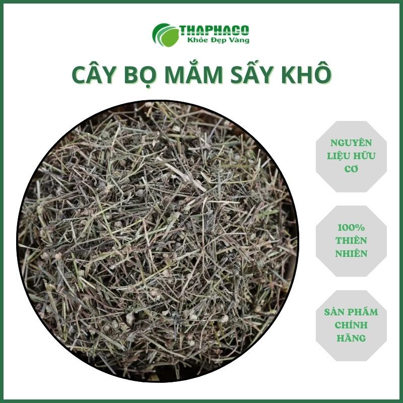 Cây Bọ Mắm Khô -  Thaphaco - Hàng Loại 1 - Uy Tín - Chất Lượng