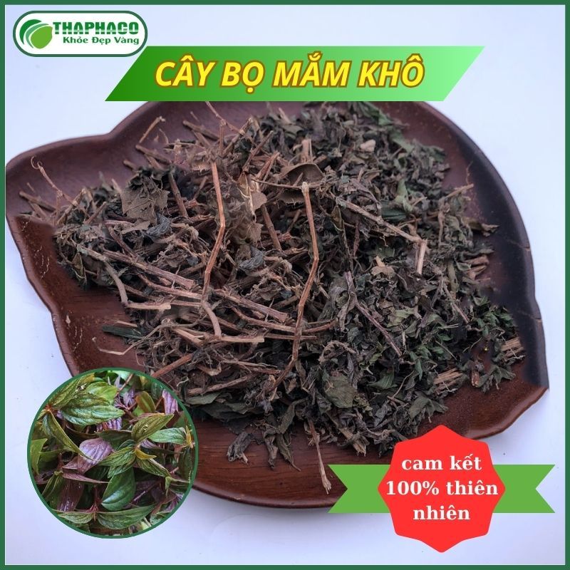 Cây Bọ Mắm Khô -  Thaphaco - Hàng Loại 1 - Uy Tín - Chất Lượng