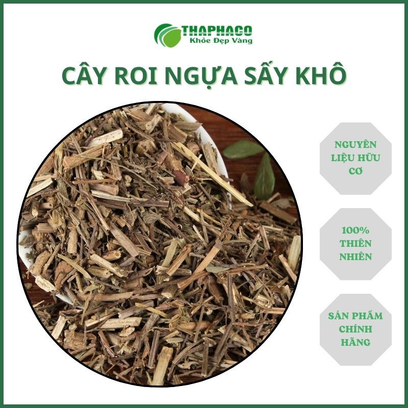 Cây roi ngựa khô nguyên chất - sản phẩm thảo dược thiên nhiên - THAPHACO