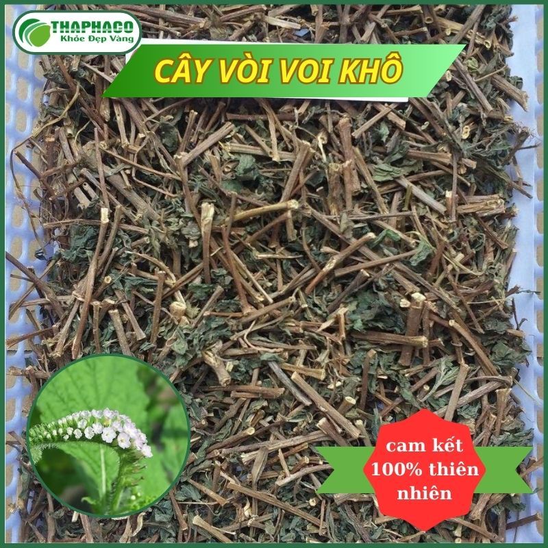 Cây vòi voi sấy khô hàng sạch thơm giá tốt - Túi 1kg - Thảo Dược THAPHACO