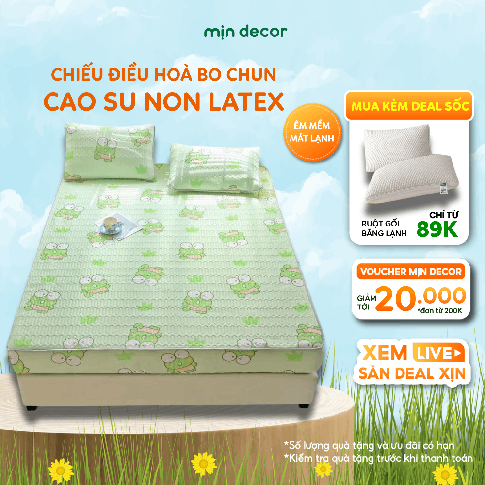 Ảnh Chiếu Điều Hoà Cao Su Non Tencel Latex Bo Chun Mịn Decor Thoáng Mát - Nhiều Hoạ Tiết 1