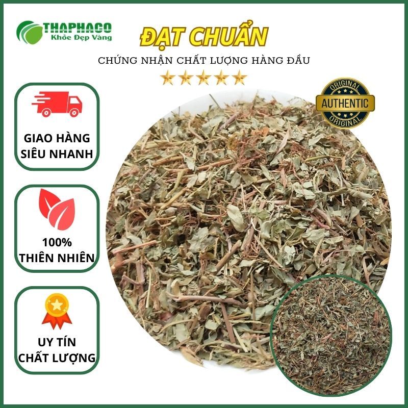 [Dược Liệu Khô] Diệp Hạ Châu Đắng - Hàng Công Ty - Túi 1kg - Chất Lượng Cao - Thaphaco