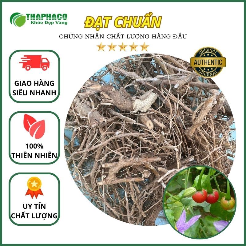 Rễ cây cà gai leo sấy khô nguyên chất - hỗ trợ cải thiện sức khỏe xương khớp