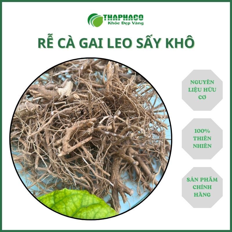Rễ cây cà gai leo sấy khô nguyên chất - hỗ trợ cải thiện sức khỏe xương khớp