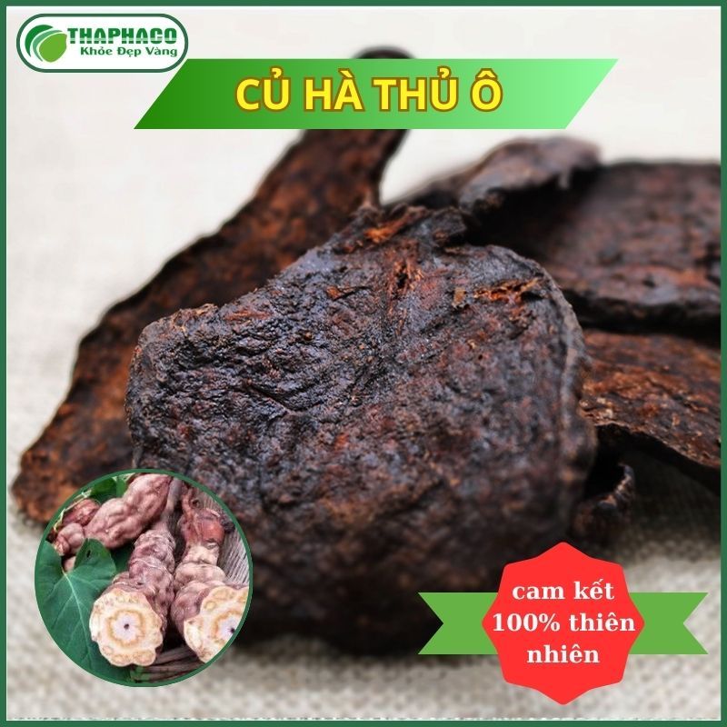 [Thảo Mộc] Hà Thủ Ô Đỏ Đã Sơ Chế - Túi 1kg - Hàng Công Ty - Thaphaco